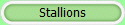 Stallions