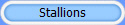 Stallions